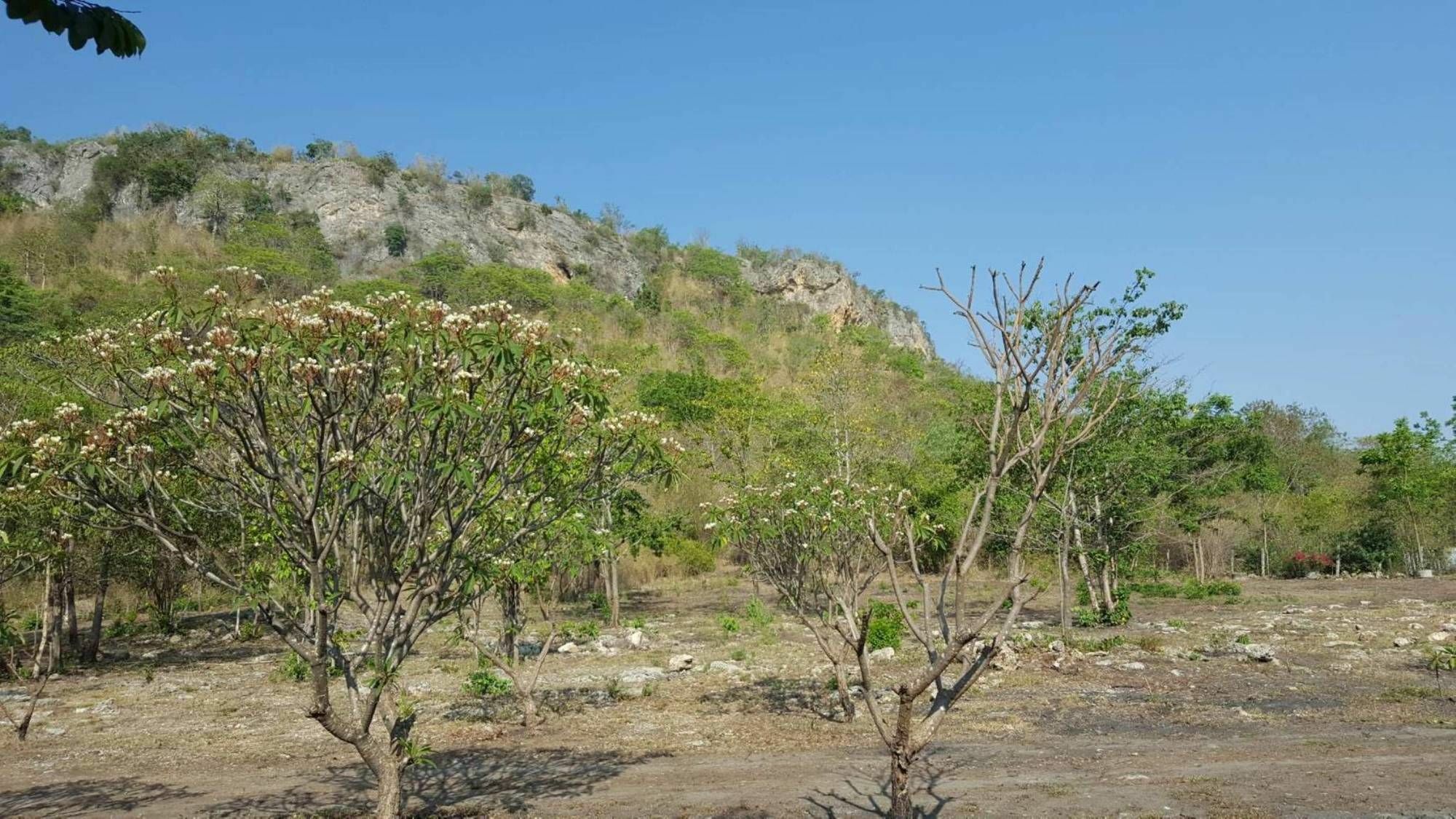 Phurang Hill Resort Kanchanaburi Bagian luar foto